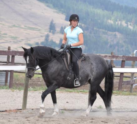 riding lessons, horse training, horsemanship, connected riding