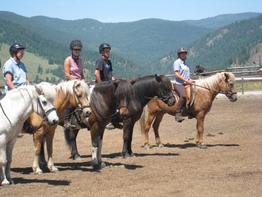 Riding clinics