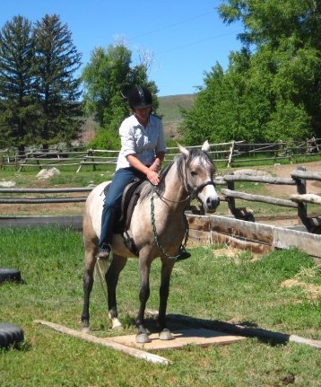 Horse Training