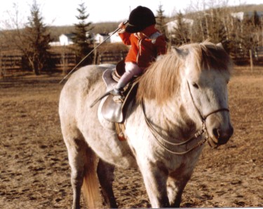 Mandy at 18 months on an Icelandic horse.