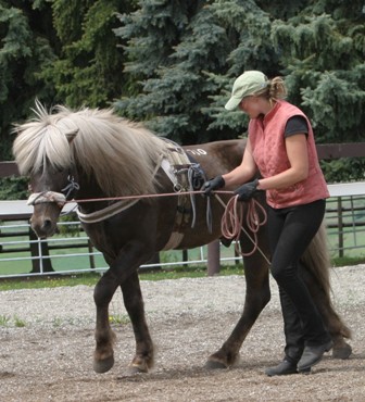 Connected Riding